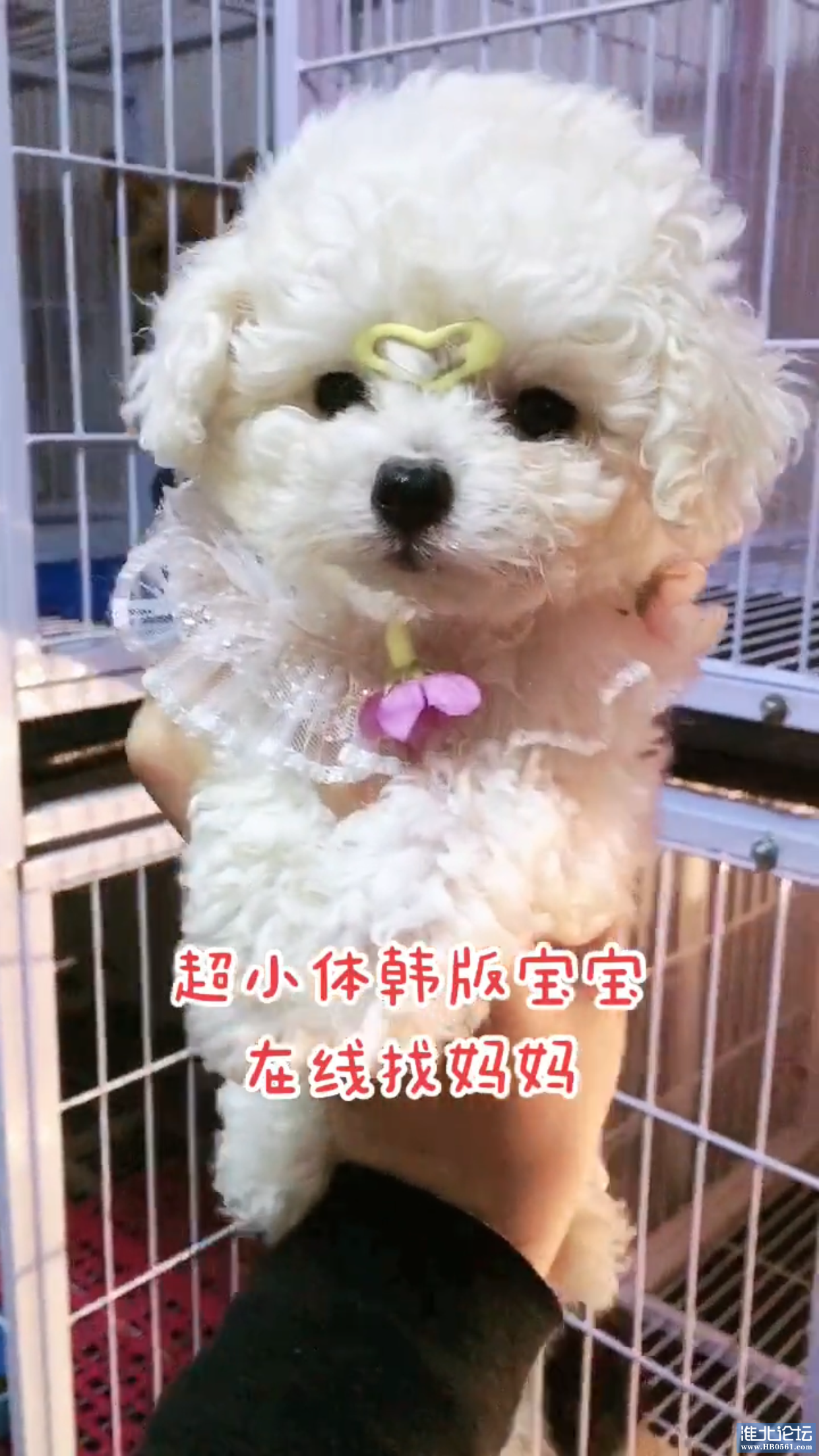 584C57F8-C280-4167-A648-B04AC08696C3.png