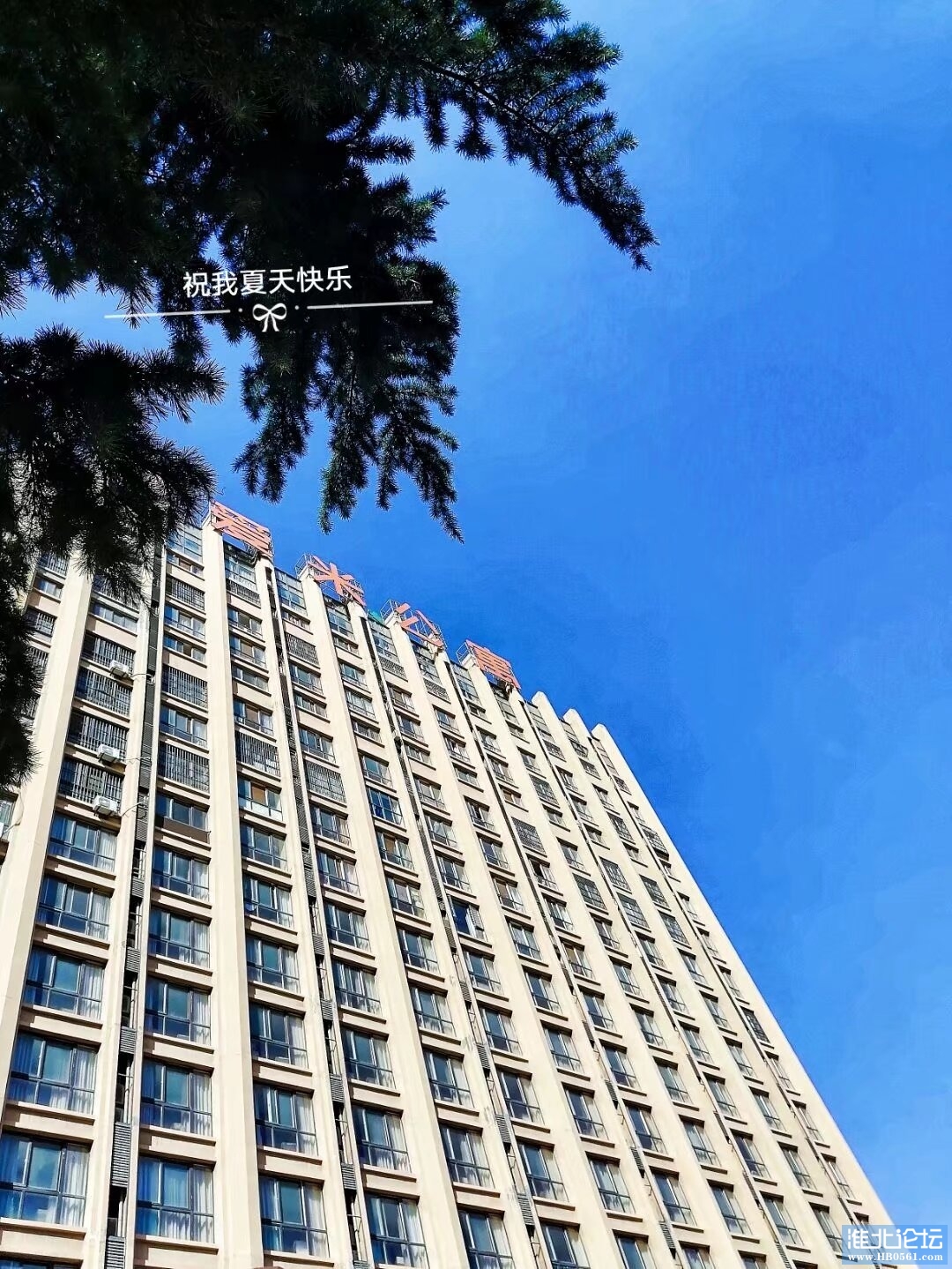 Image_1703374723126.jpg
