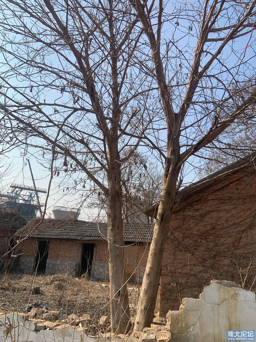 1704861469-compressed-IMG_6209.jpg