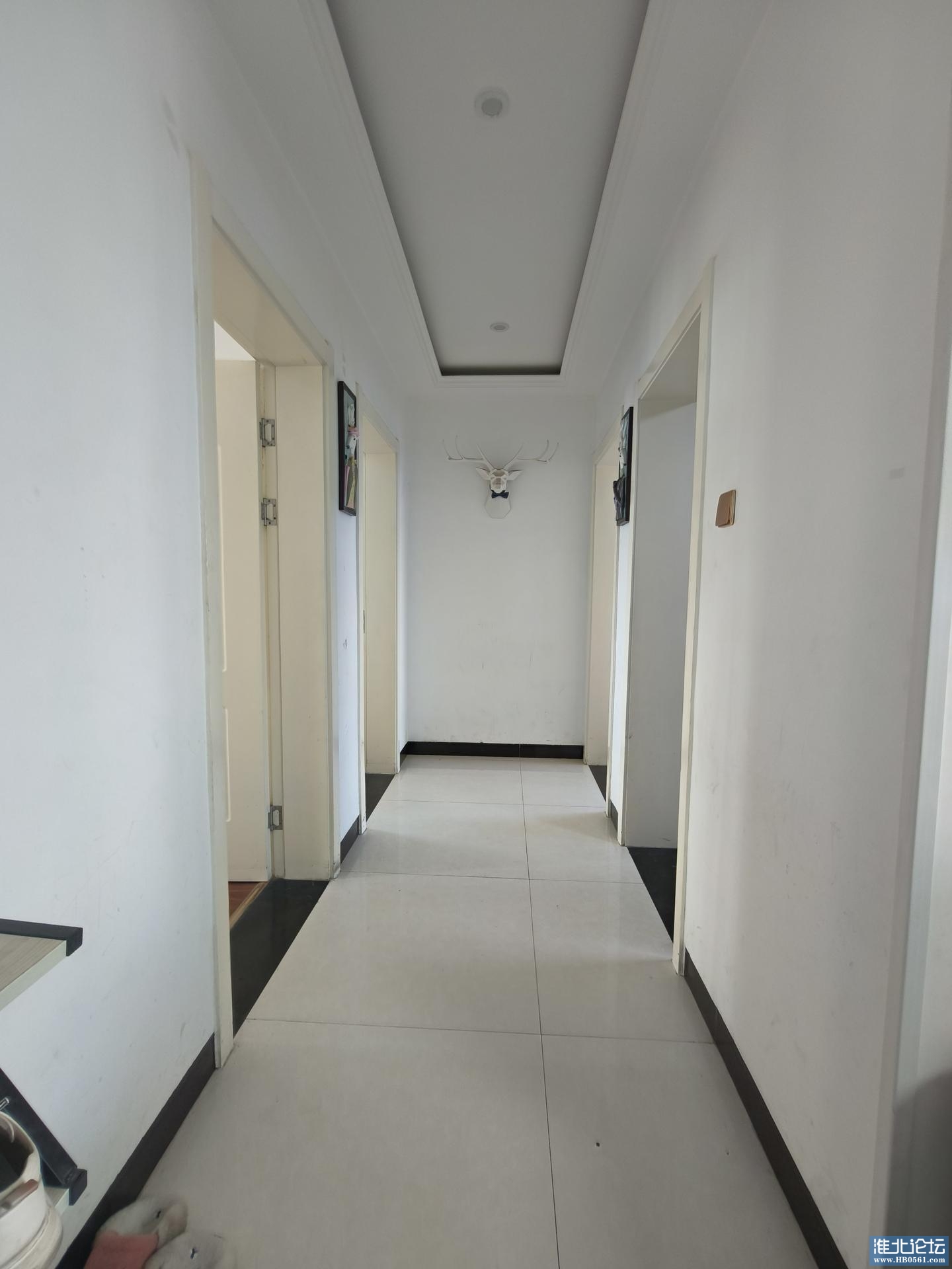 01562a2d-5874-45cb-8d5d-1621a7d2259b.jpg