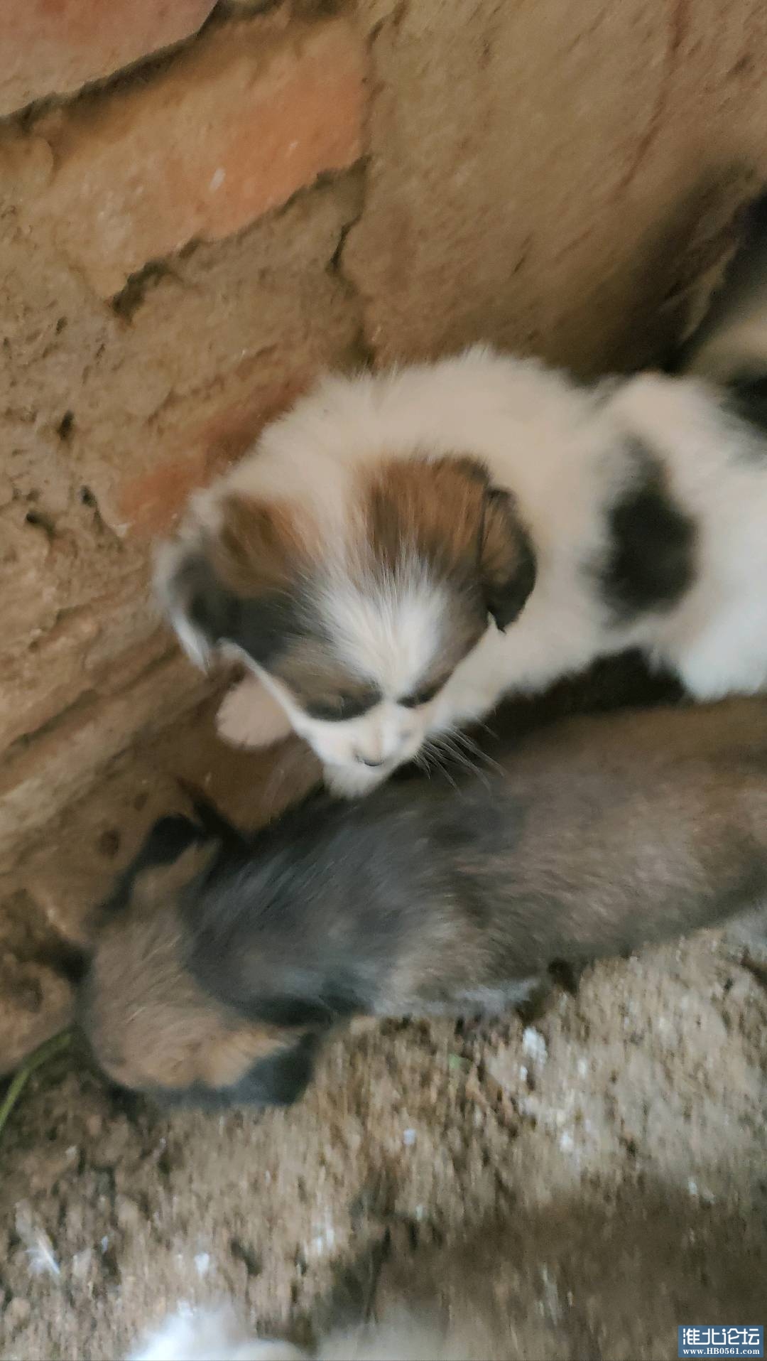 1705137796375_IMG20240109152410.jpg