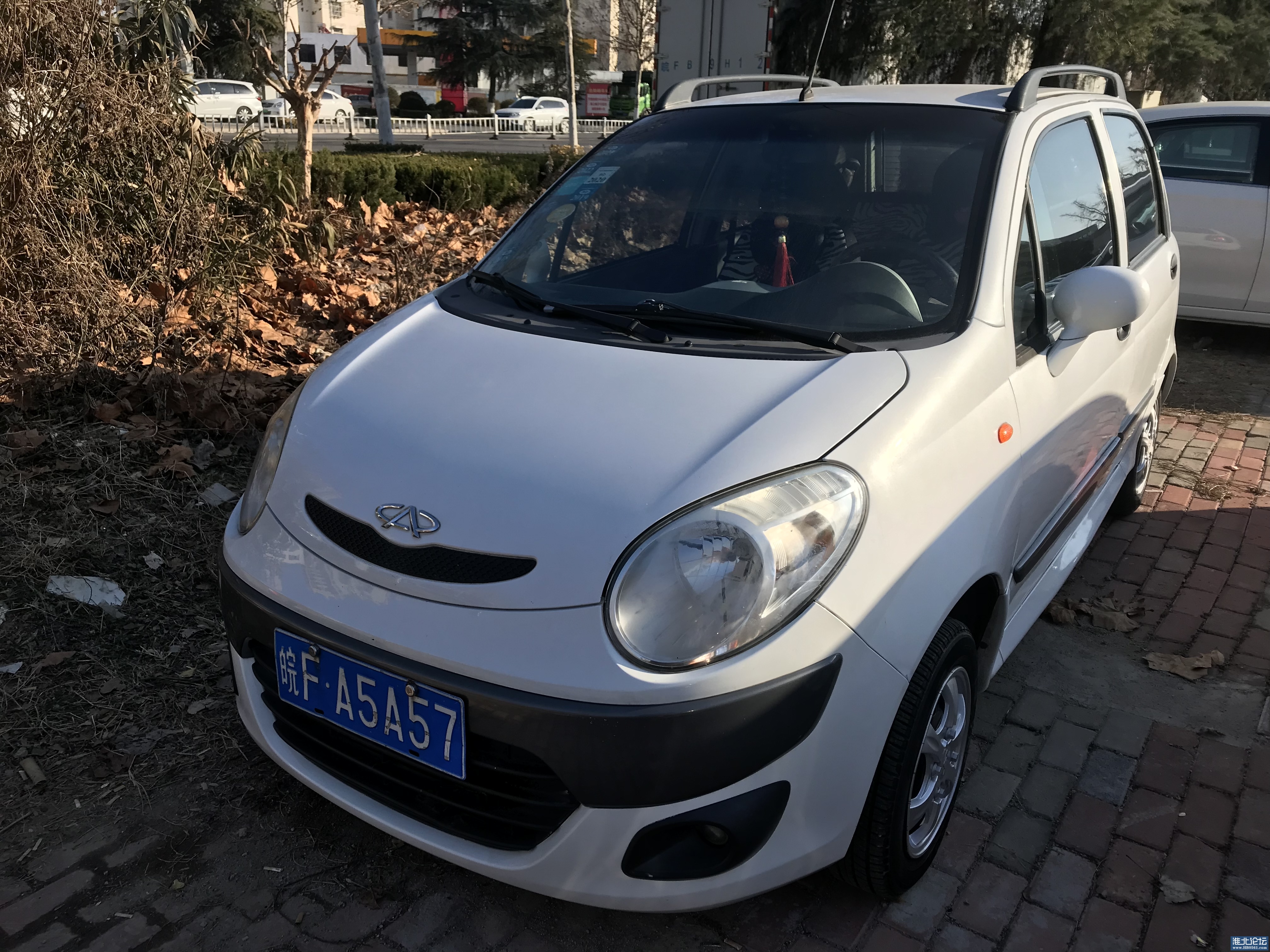 1705994774-origin-IMG_3903.jpg