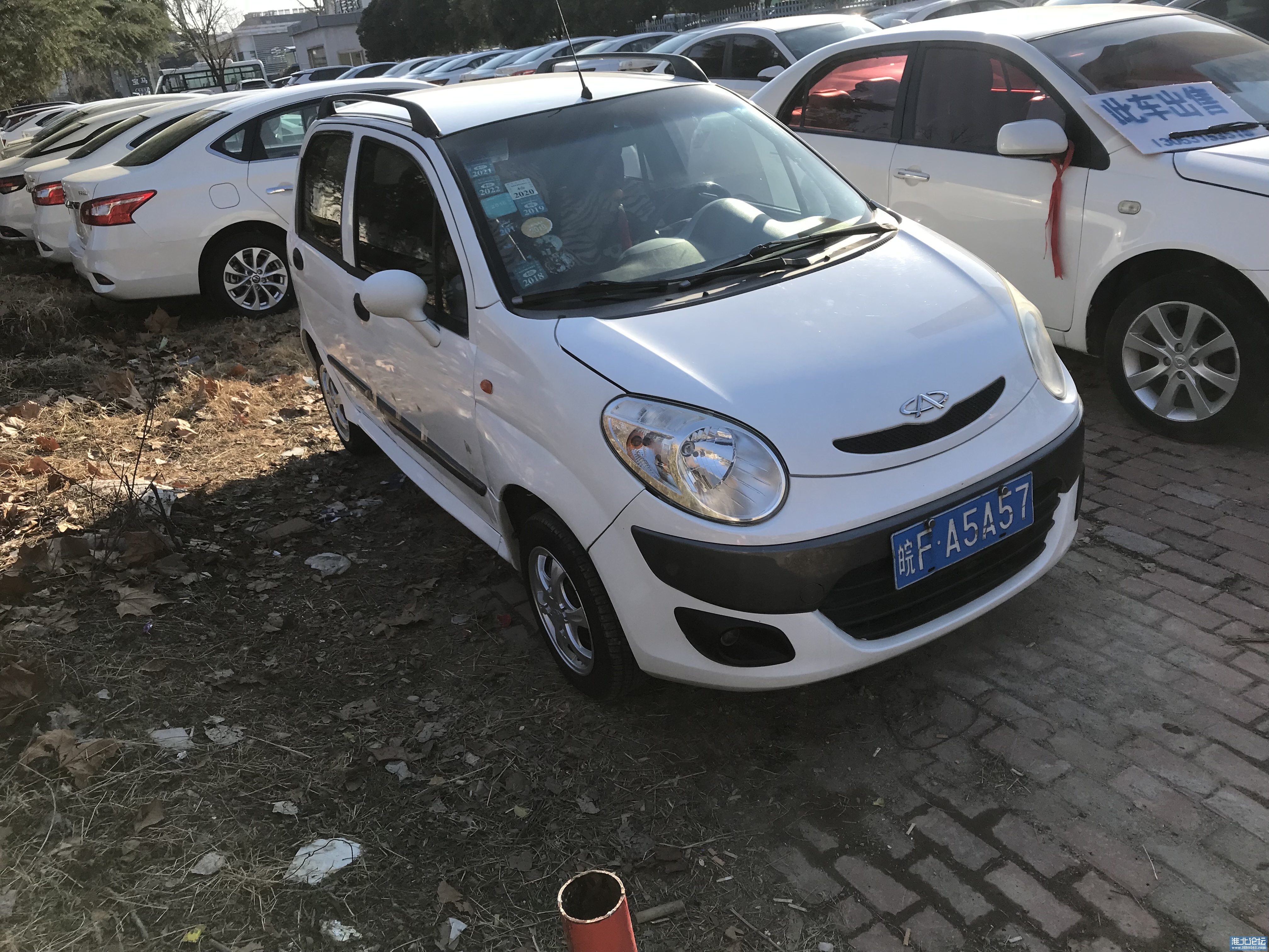 1705994790-origin-IMG_3904.jpg