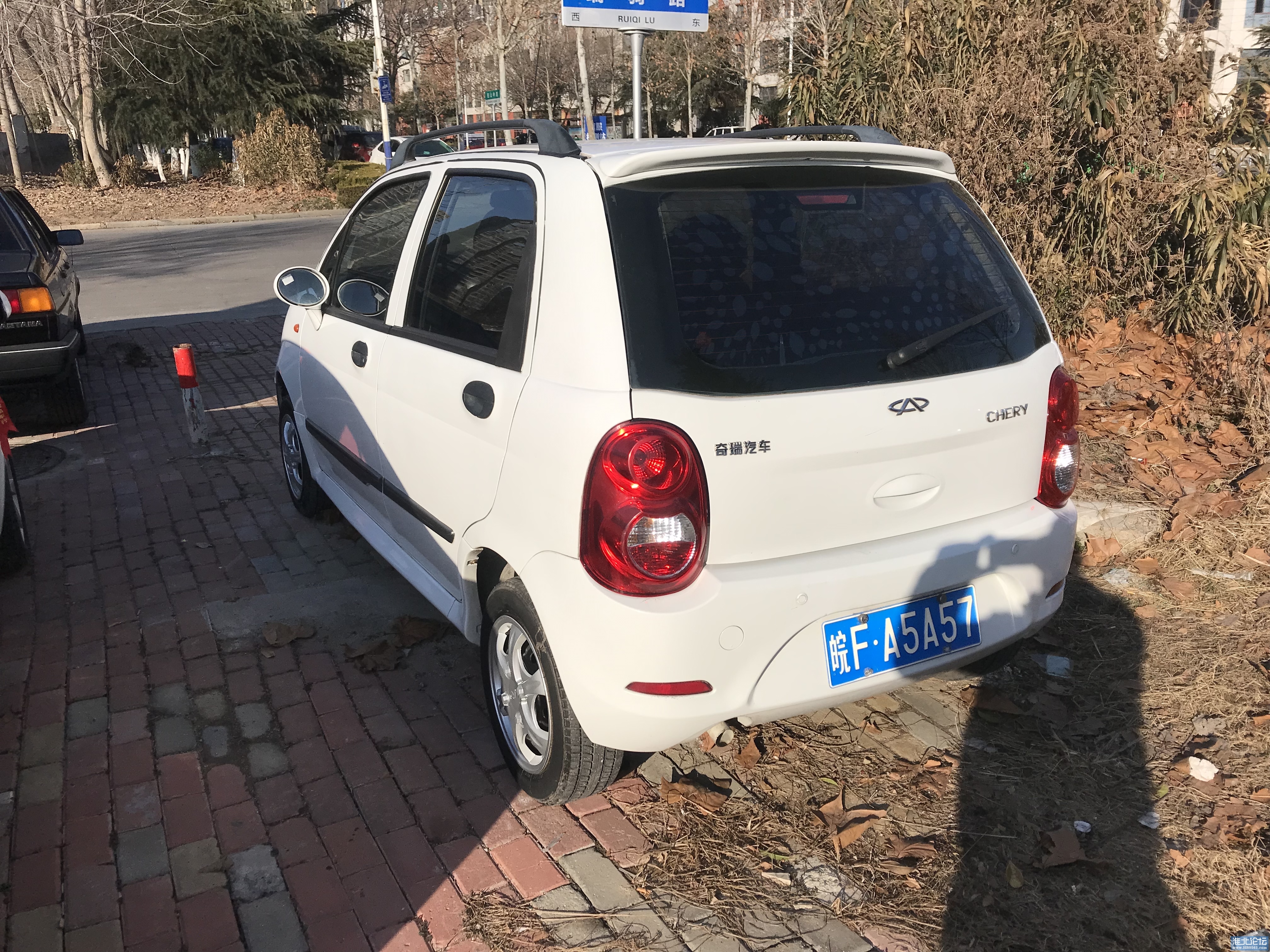 1705994856-origin-IMG_3906.jpg