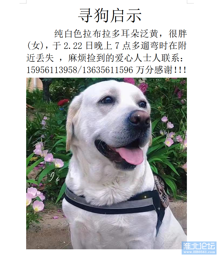 mmexport1708840133767.png