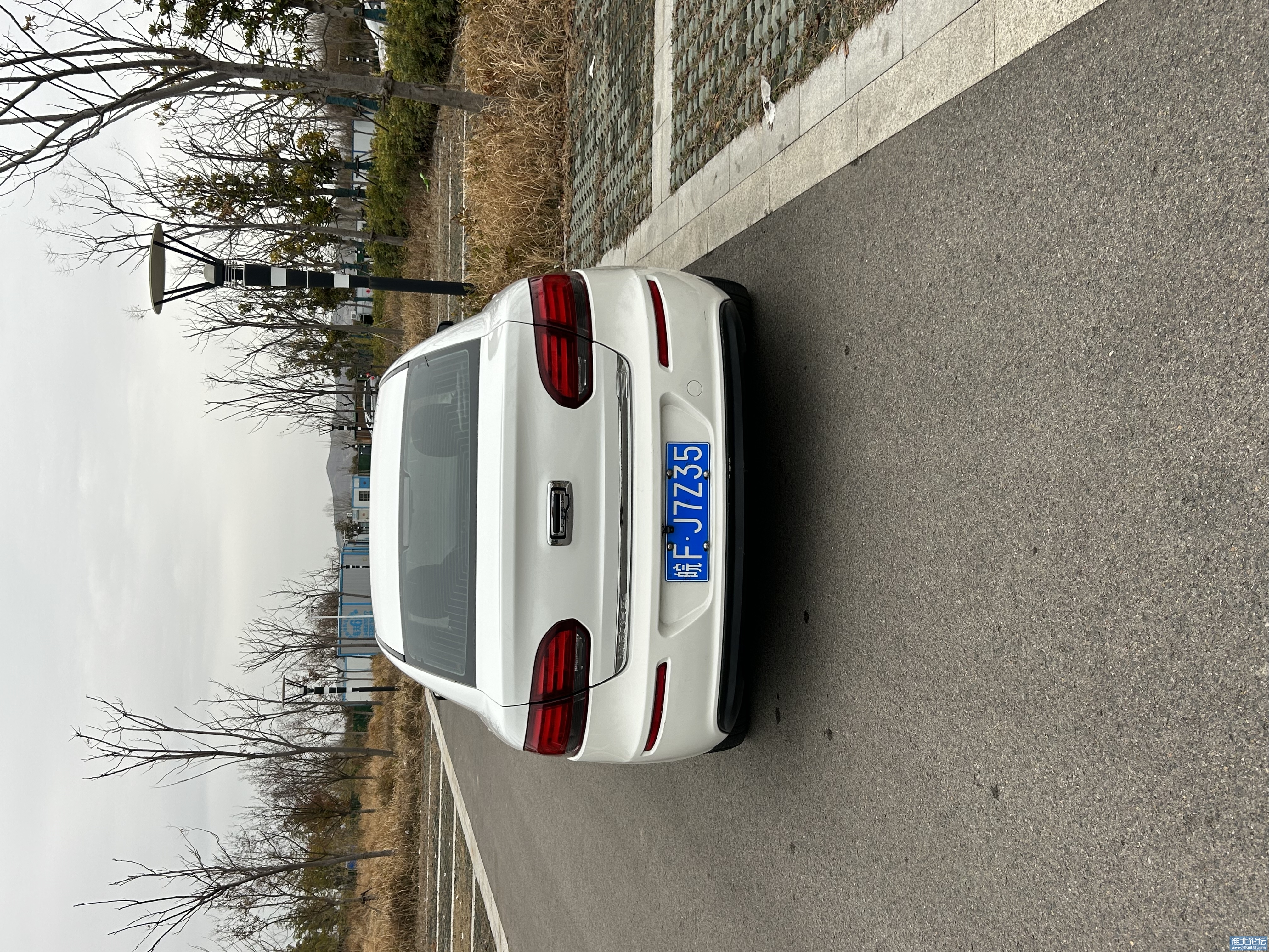 mmexport1708390908629.jpg