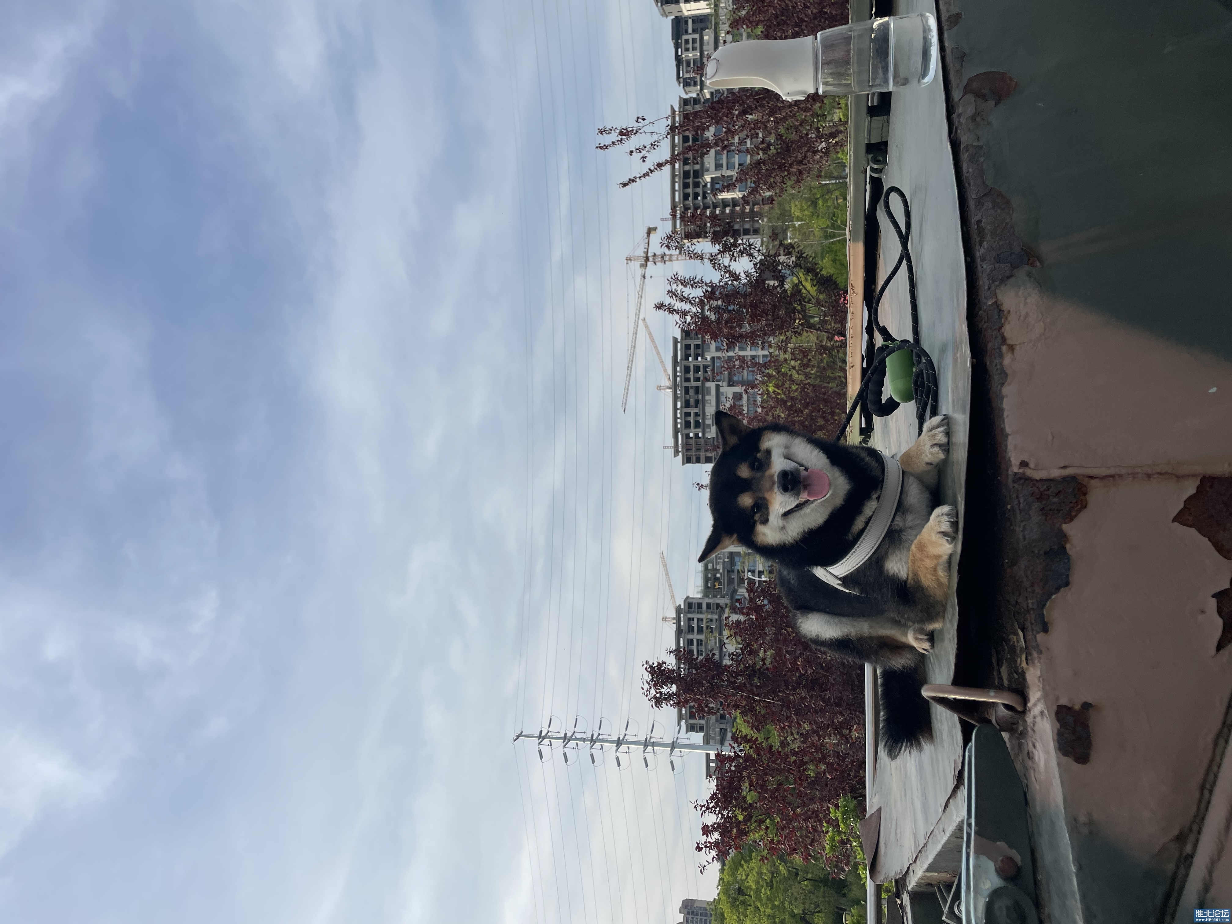 1714555654-origin-IMG_6824.jpg