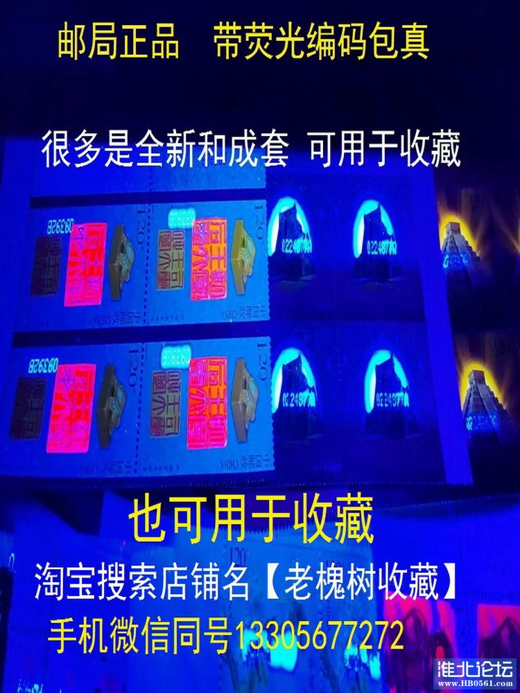 9008.JPG