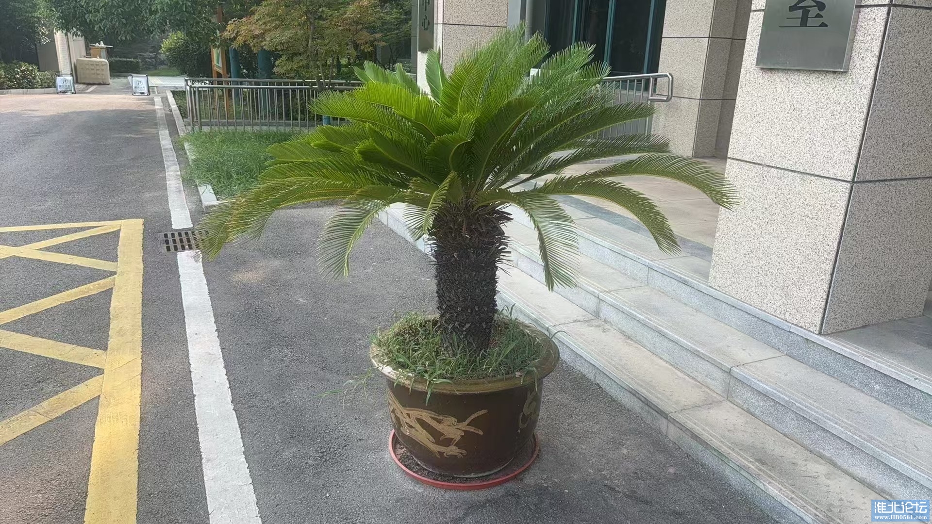 微信图片_20240823103754.jpg