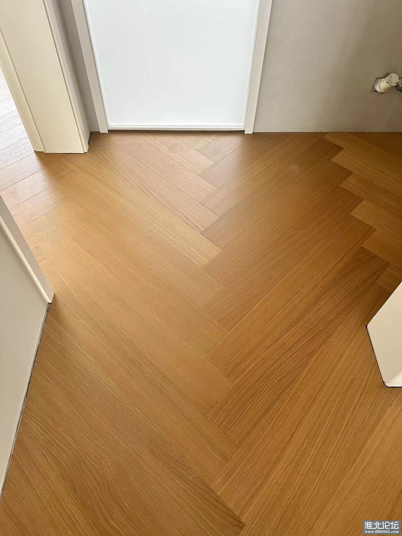 mmexport1724885183762.jpg