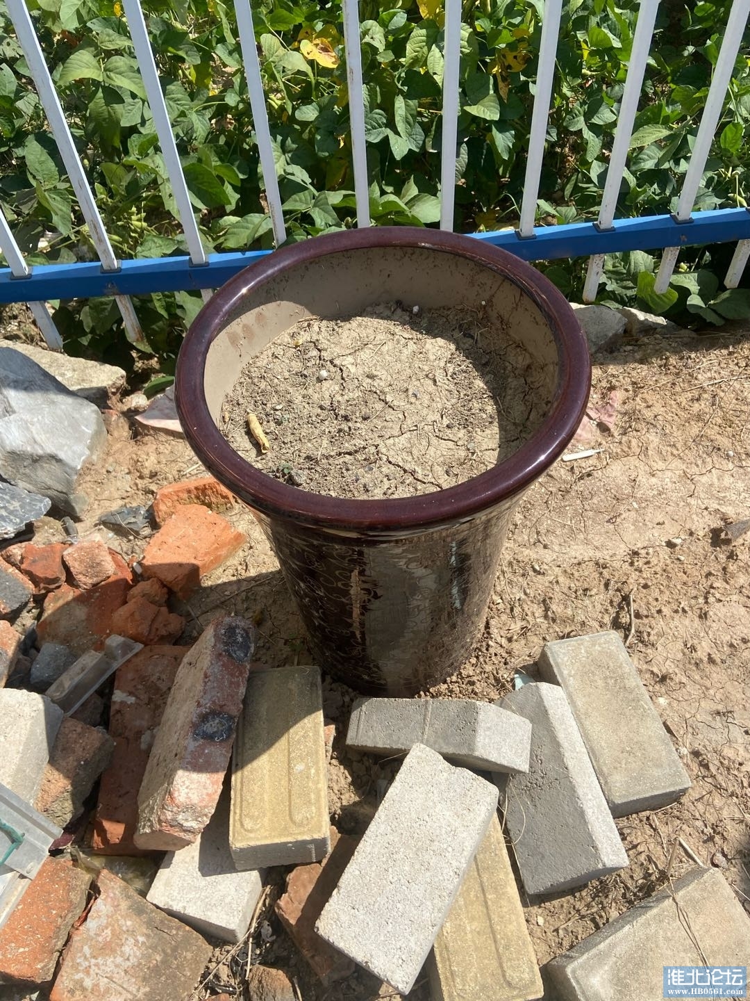 1727494634-compressed-IMG_8051.jpg