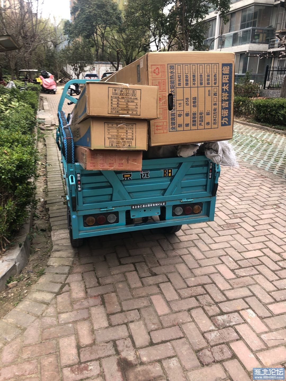 1710722878-compressed-IMG_0822.jpg