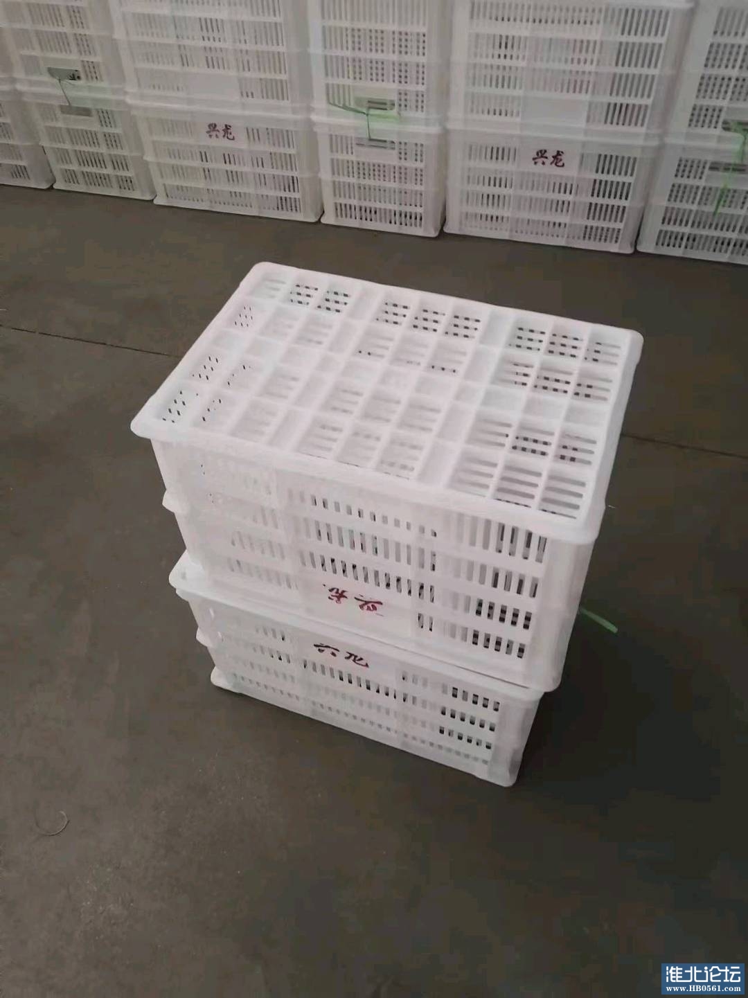 1729671581976_mmexport1725795384000.jpg