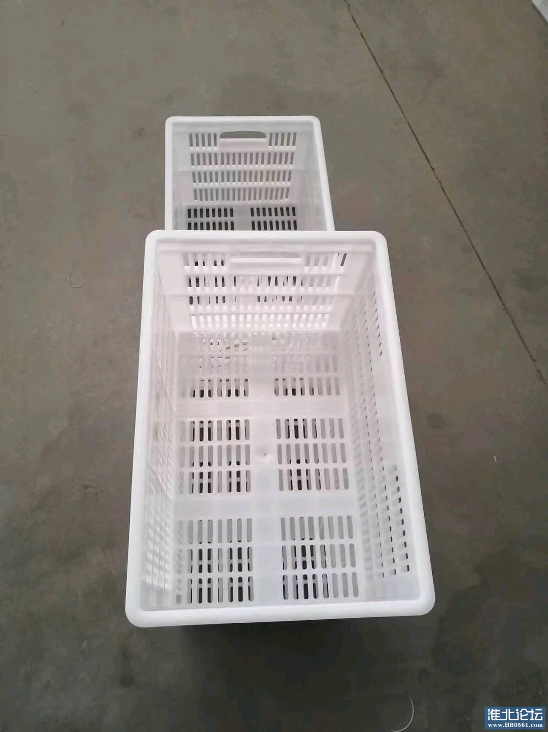 1729671581829_mmexport1725795379488.jpg