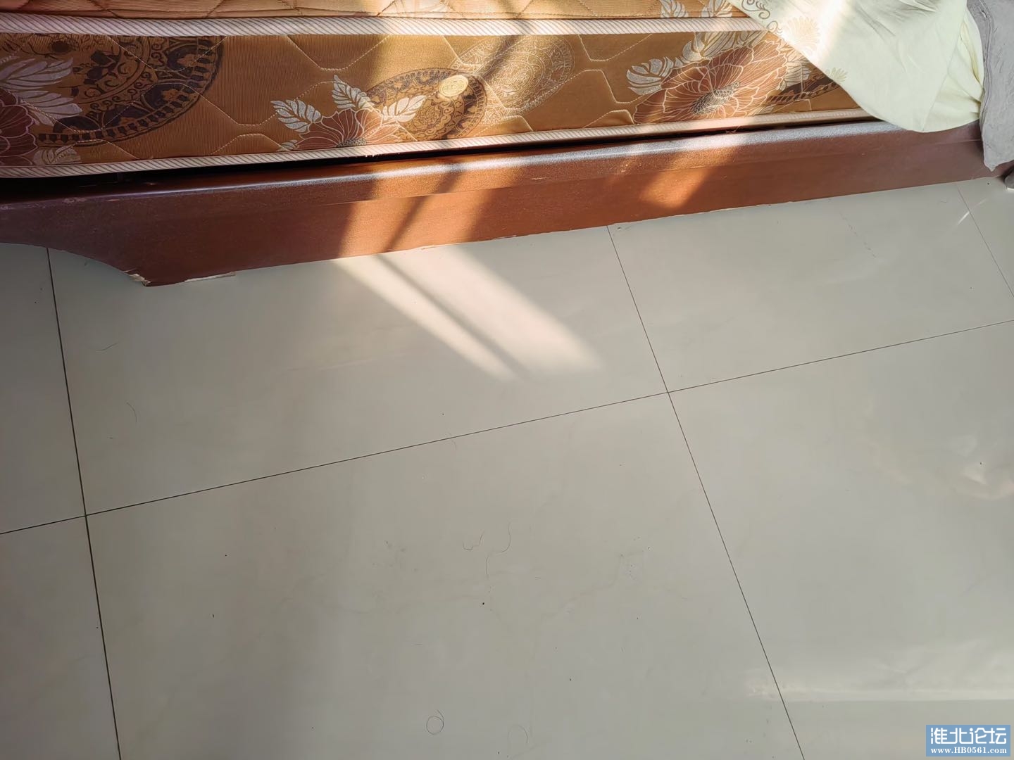 1730593871-compressed-IMG_0621.JPG