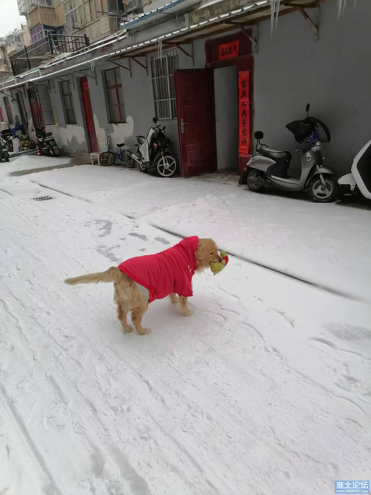 微信图片_20241111203807.jpg