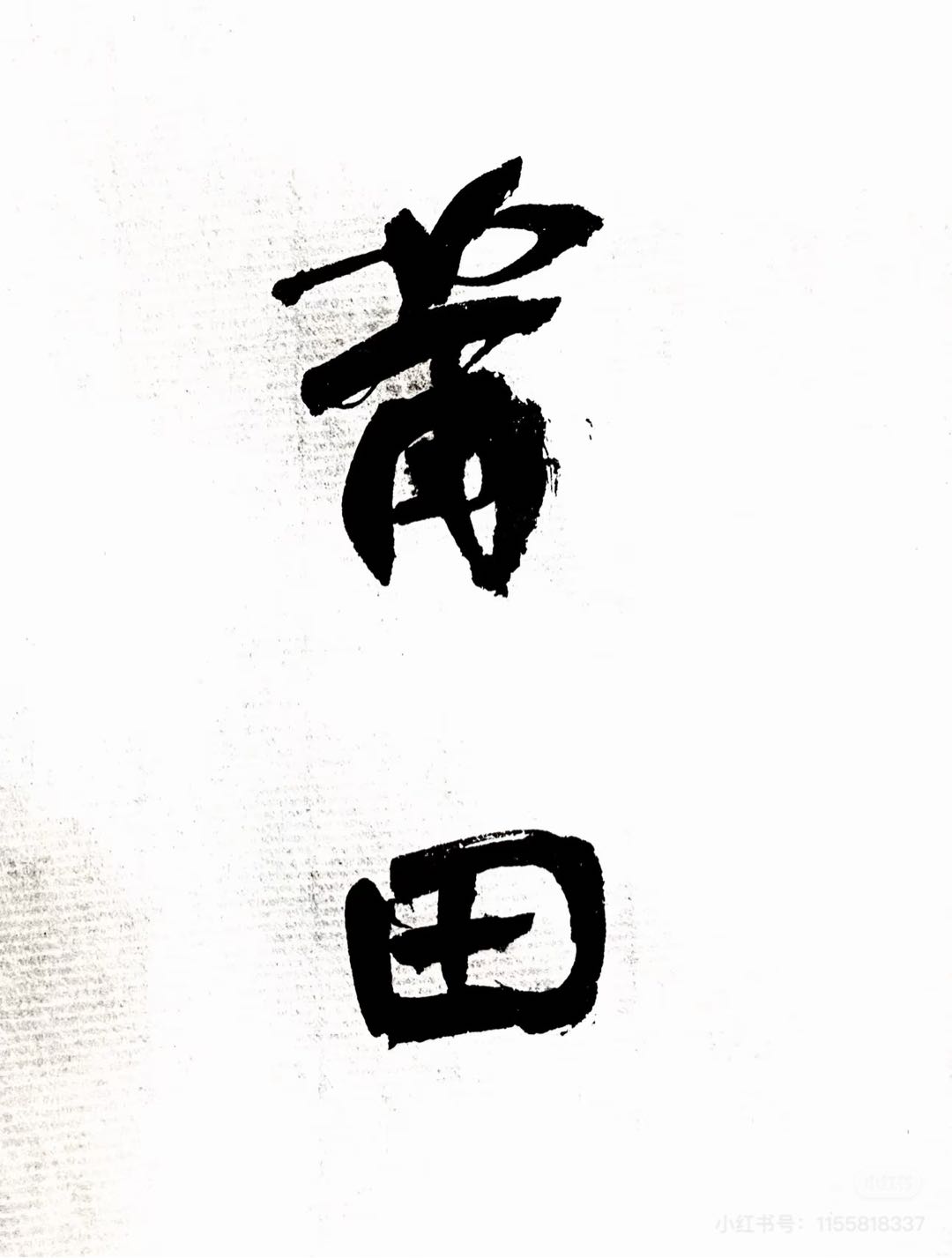 1734090970-compressed-IMG_9963.JPG