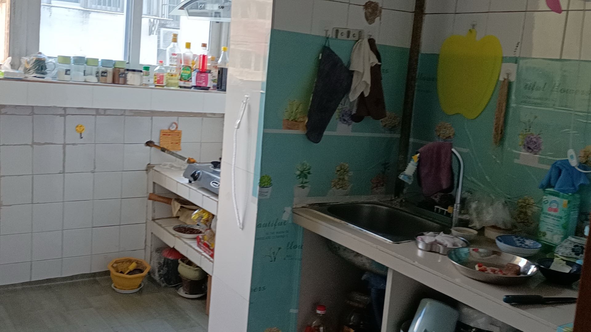 1740268732-compressed-IMG_8268.JPG